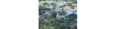 பவழகிரீஸ்வரர் 